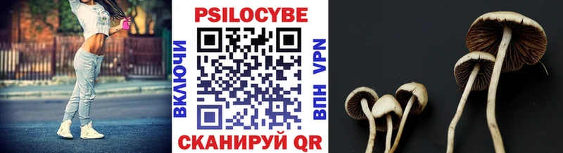 Псилоцибиновые грибы Cubensis  Костерёво 
